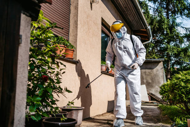 Best Insect Control  in Croswell, MI
