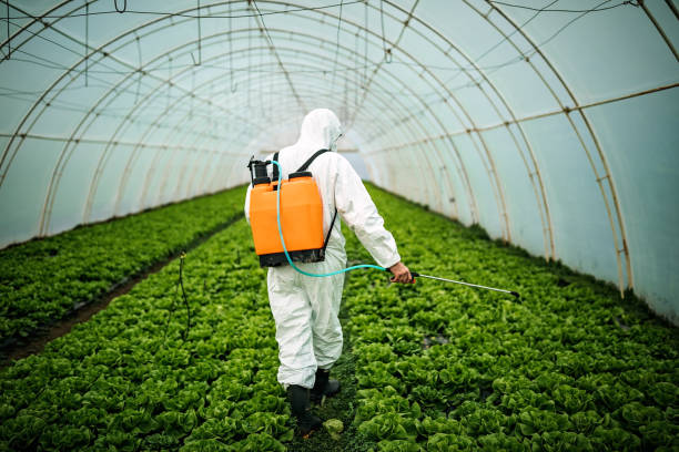 Best Mosquito Control Services  in Croswell, MI