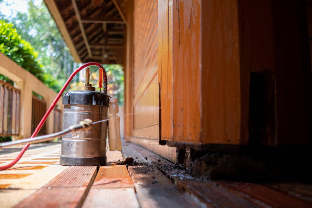 Best Pest Control Cost  in Croswell, MI