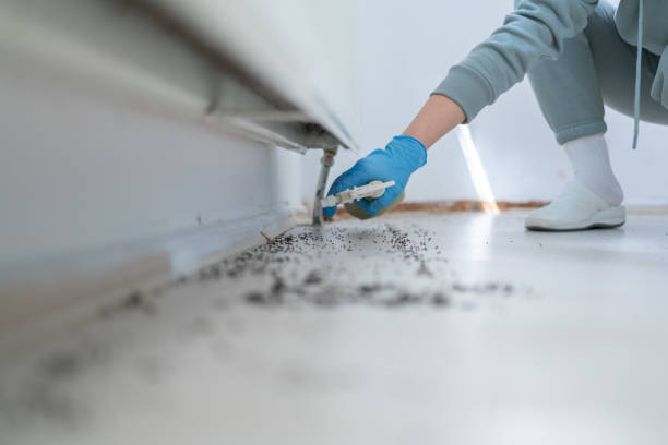 Best Ant Control Services  in Croswell, MI