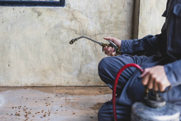 Best Pest Inspection Near Me  in Croswell, MI